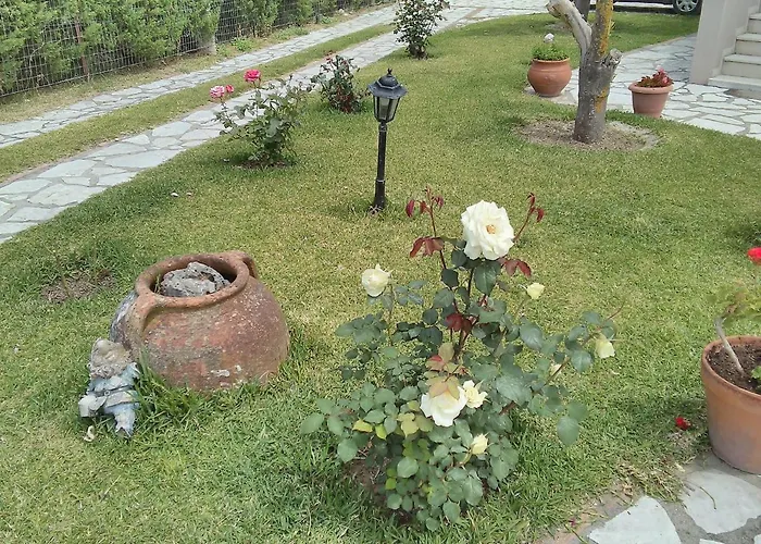 Casa Memories *
